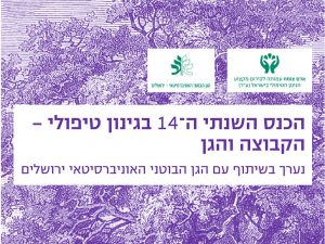 Read more about the article תשע"א 2011 – הקבוצה והגן