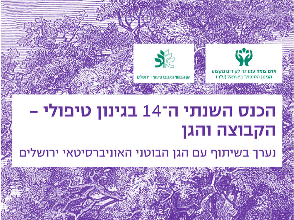 Read more about the article תשע”א 2011 – הקבוצה והגן