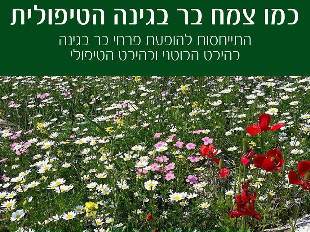 Read more about the article תשע”ח מרץ 2018 “כמו צמח בר בגינה הטיפולית”