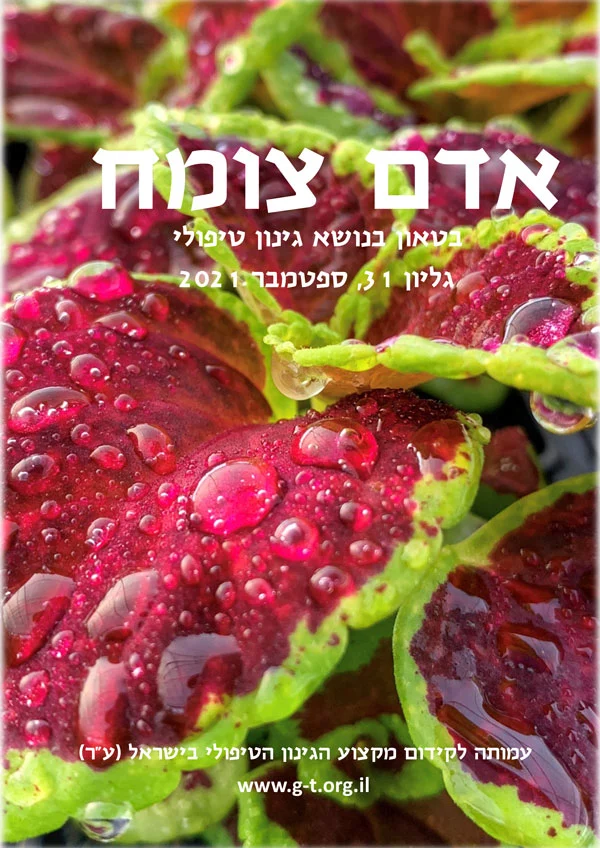 Read more about the article גליון-31