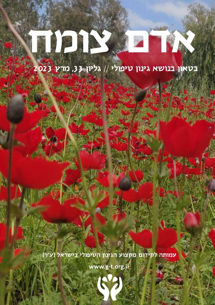 Read more about the article גליון 33