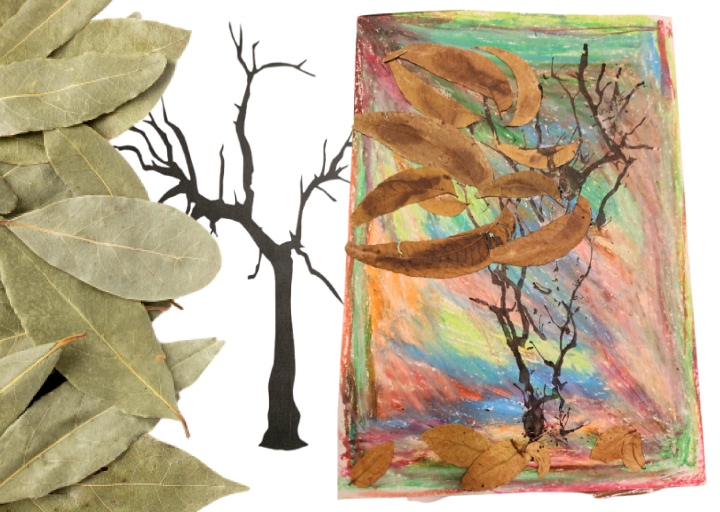 Read more about the article סתיו ושלכת
